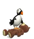 Puffin Jumping On Ted 