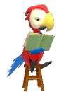 Red Parrot Reading Book