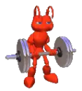 Ant Bicep Curls
