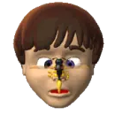 Wasp On Nose