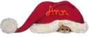 Ann