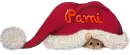 Pami