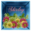 Shirley