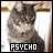 Psycho