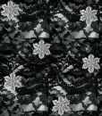 lacey sno