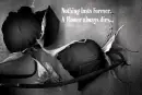Nothing Last Forever