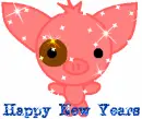 New Years Pig