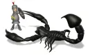 Knight Scorpion Fight 