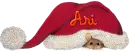Ari
