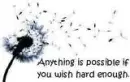 Wishes