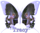 tracy butterfly