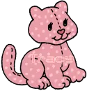 tracy cat