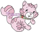 tracy cat