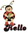 ladybug