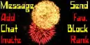 Fireworks (11)