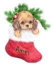 Ann