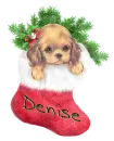 Denise