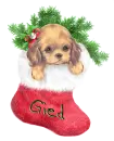 Gied
