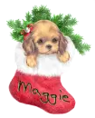 Maggie