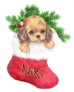 Niki