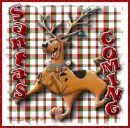 SANTA'S COMING