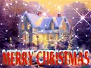 Season Greeting