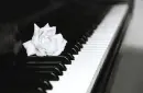 Piano and rose