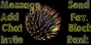 Fireworks (15)