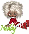 Neddy
