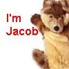 team jacob
