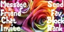 Rainbow Roses (1)