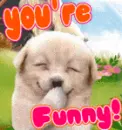 dog laughing
