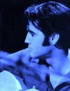 elvis