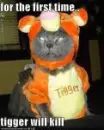 cat as tigger