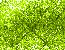 Starry StarKing - Green Starry