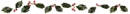 small holly w/ transparent background