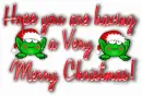 Christmas Froggies