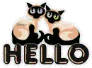 Hello