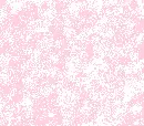 pink and  white 