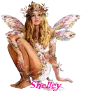 fairy with name the shelley