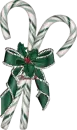 cane3