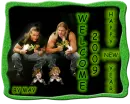 DX 2009