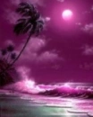 Beach Pink