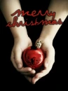 Twilight Christmas