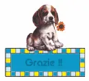 Dog thanks