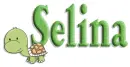 turtle selina