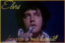 elvis forever in our hearts