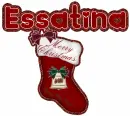 Essatina