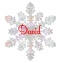 snow flake with name David