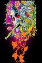 ed hardy colorful 3